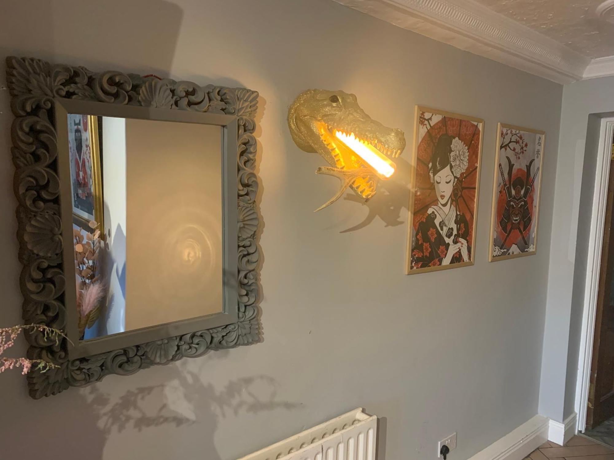 Wake Up With 2 Cats On Your Face Dublin Eksteriør billede